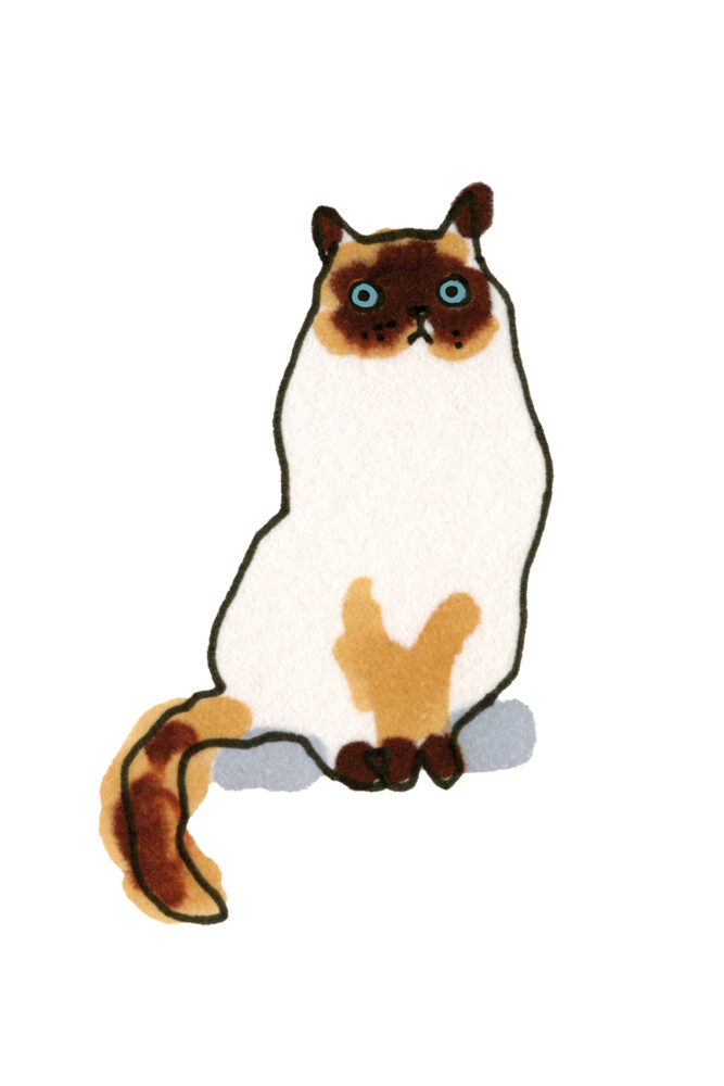 Ett kort med min illustrerade katt. Katten föreställer en Ragdoll.