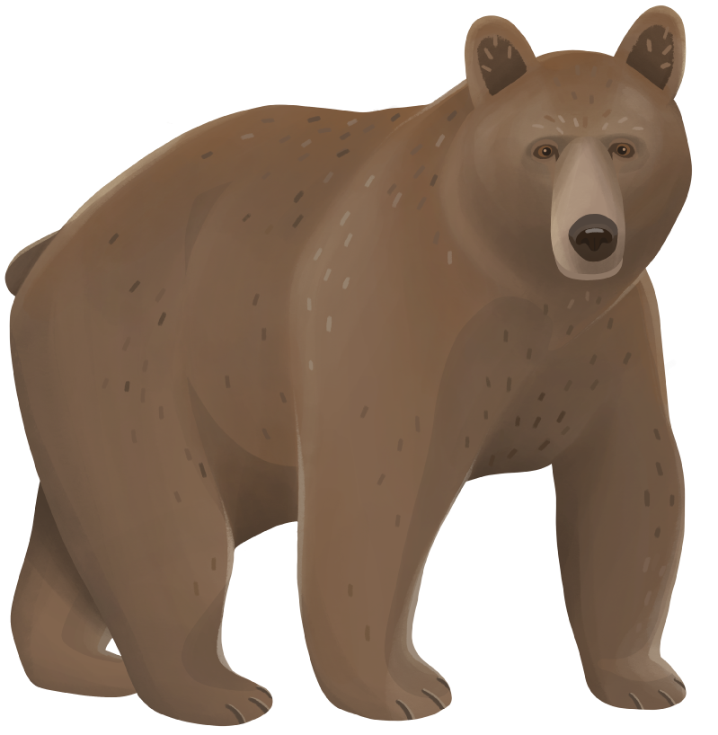 Björn