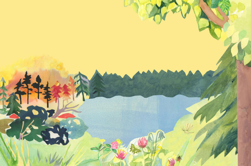 Redaktionell illustration. Tidningsillustration. Värme, torka, dricksvattenpåverkan, översvämningar, vattenburna sjukdomar, fästing och - myggburna sjukdomar. Vaccin. Vaccination. Dricksvatten. Badplats. Värmerekord. Brandkåren. Brandrisk. Skogsbrand. Den svenska sommaren. 