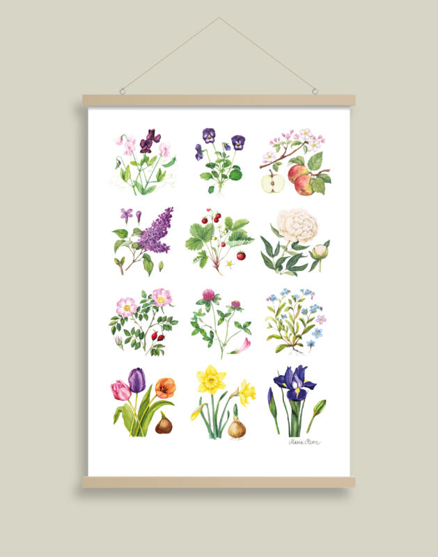 En poster upphängd på en grön vägg. Motivet föreställer 12 olika blommor målade i akvarell.