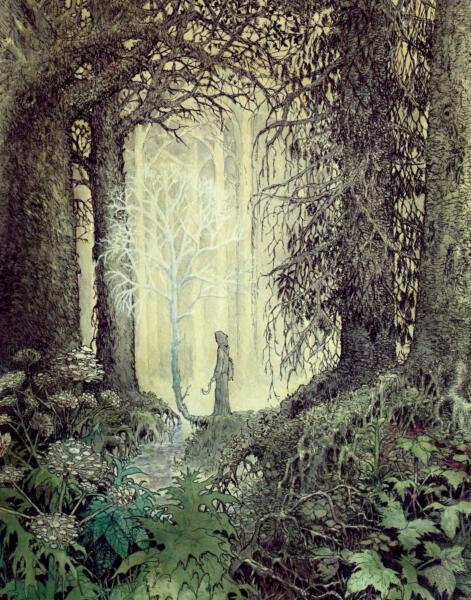 Druid, magician, magic wand, wood, foliage, clearing