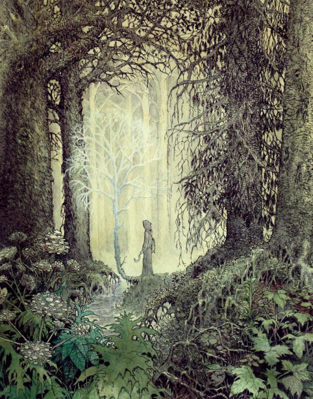 Druid, magician, magic wand, wood, foliage, clearing