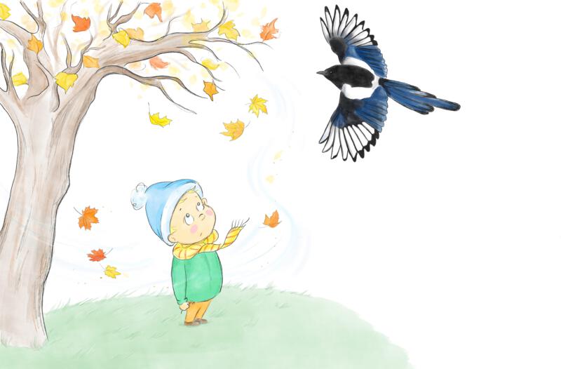 Illustration till barnbok. pojke tittar på skata. Höst. 