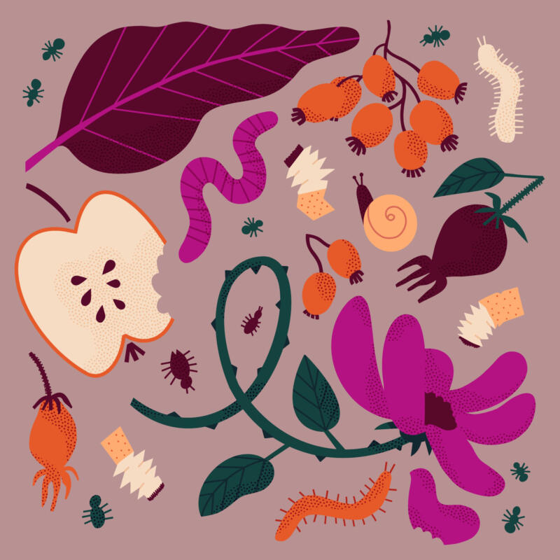 Mönster med lite vissna blommor, blad, nypon, sniglar, cigarettfimpar och insekter i cerise, orangeröd, smaragdgrön och mörklila.