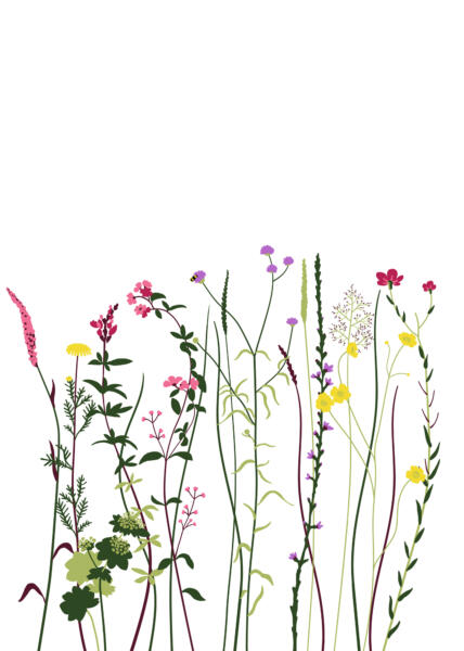 Förenklade färgglada blomillustrationer på rad.