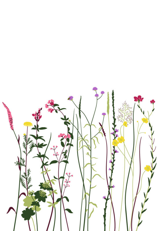 Förenklade färgglada blomillustrationer på rad.