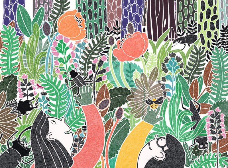Malin Rosenqvist illustration