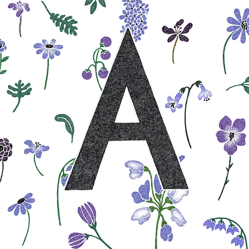 Malin Rosenqvist lettering