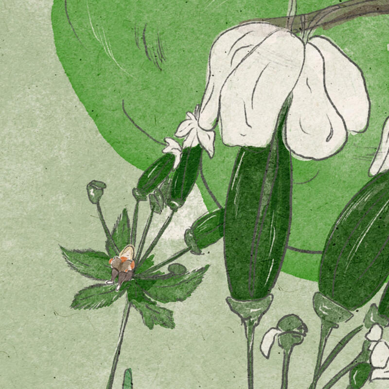 Flicka som läser en bok sittandes i en blomma bland gröna blommor och blad i naturen. 