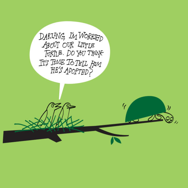 Illustration av sköldpadda och fågelbo med fåglar.