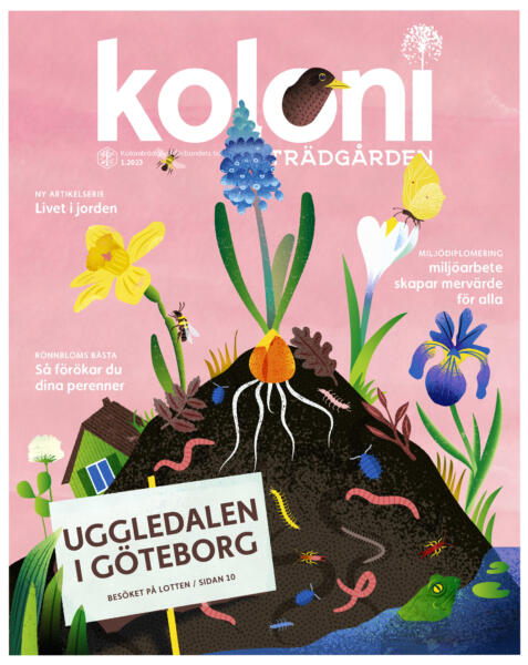 illustration av en koloniträdgårds ekologi