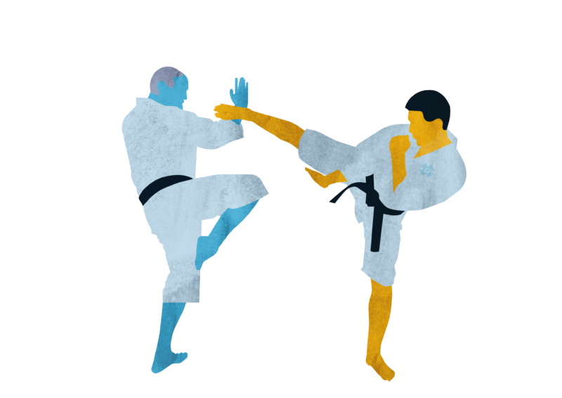 Shorinji Kempo Swedish Budo & Martial Arts Association