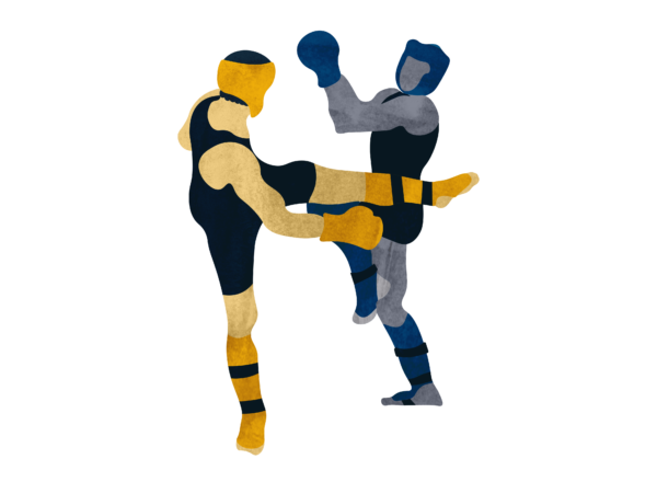 Swedish Budo & Martial Arts Association