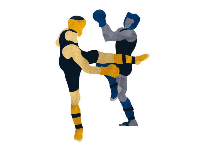 Swedish Budo & Martial Arts Association