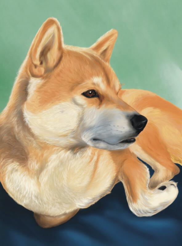 Digitalt porträtt hund
