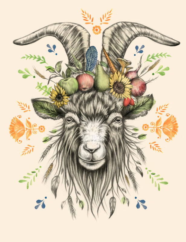 Julia szulc illustration Mikael marknad fredriksdal get