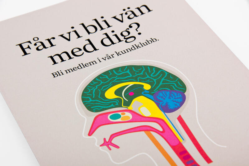 Anatomisk illustration av hjärna och andningsorgan i genomskärning 