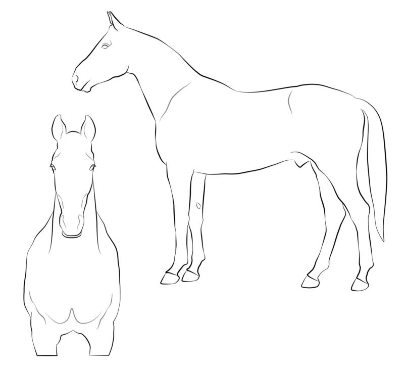 Illustration för veterinärjournaler, hjälpmedel, översiktsbild
