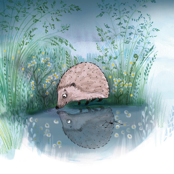 vattenpöl i naturen, spegling, skräddare