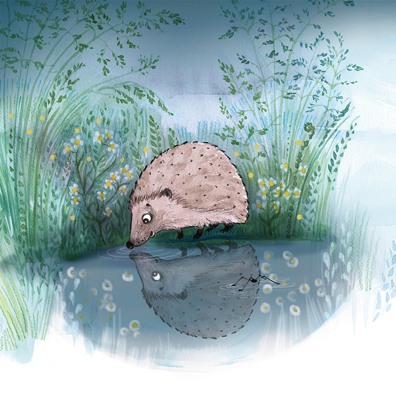 vattenpöl i naturen, spegling, skräddare