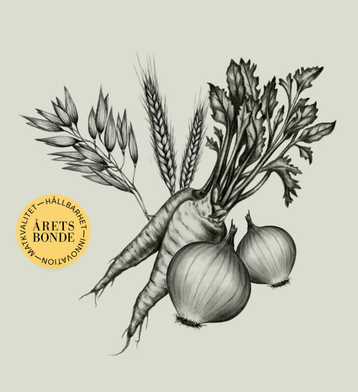 Grönsaker illustration blyerts