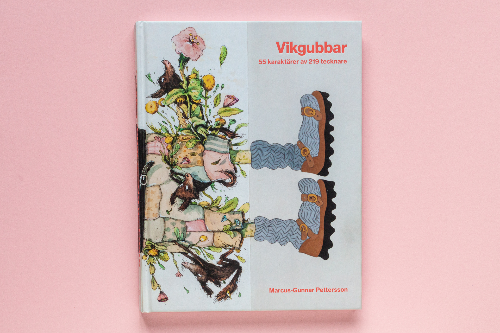 Omslag till boken Vikgubbar