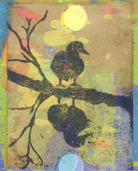 Duck and it's reflection, copper etching, screen print, collage, digital, Mixed Media Print, Fine Art Print, brainstorming process for graphic pattern ideas. 13 cm x 16 cm