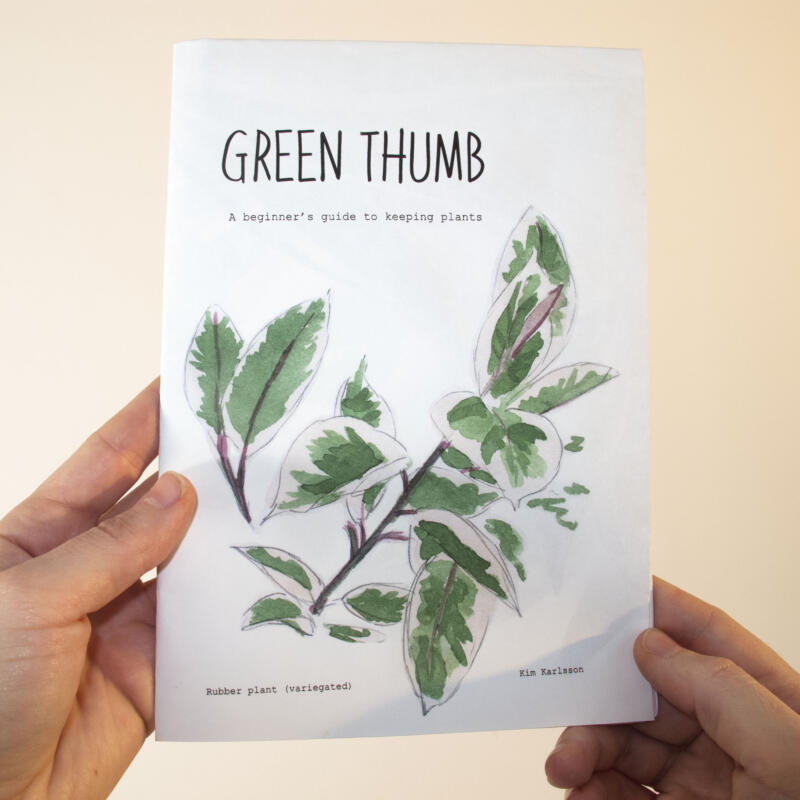 fan zine plant care cover