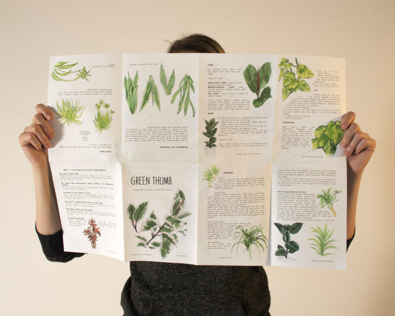fan zine plant care unfolded