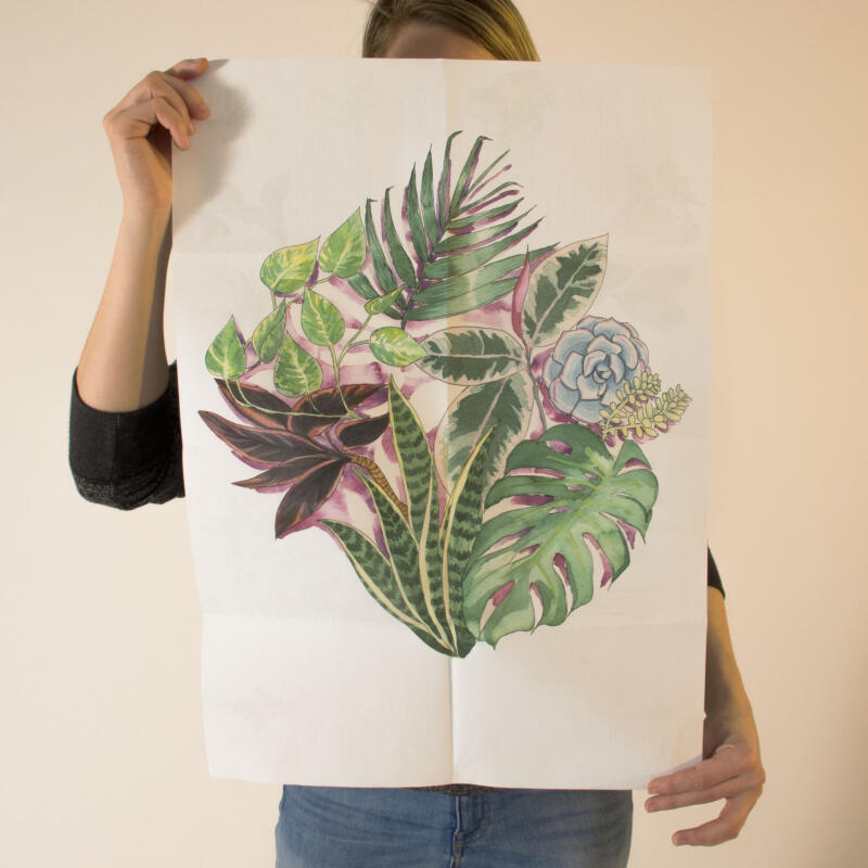 indoor plant poster