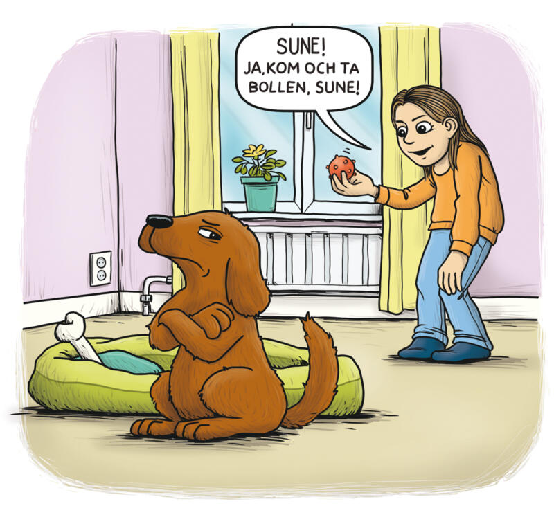 hund, valp, matte, lek, hundben, hundsäng
