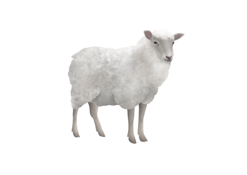 Får