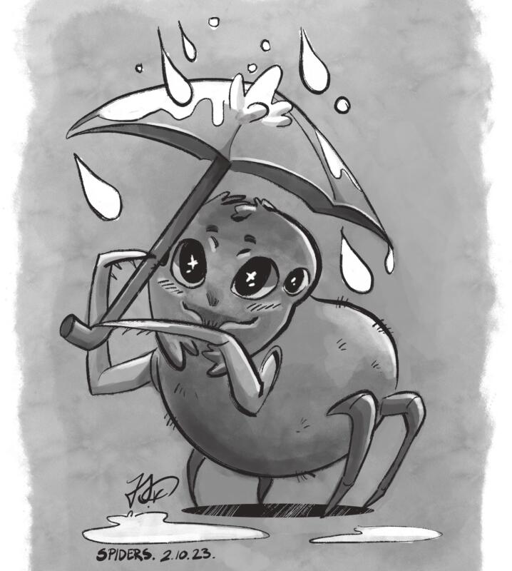 Spindel illustration 