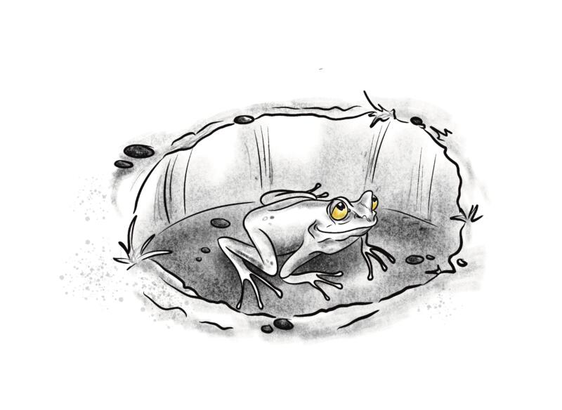 groda illustration