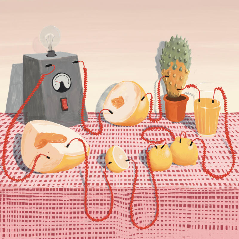 Illustration of lemons and melon generating electricity