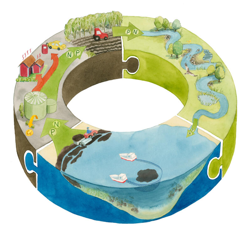 En illustration i akvarell som med blått, brunt och grönt visar de olika delarna i projektet Våtmark, Alger och Land. Kretsloppet av näringsämnen synliggörs i den cirkulära formen och pusselbitarna förtydligar att allt sitter ihop.