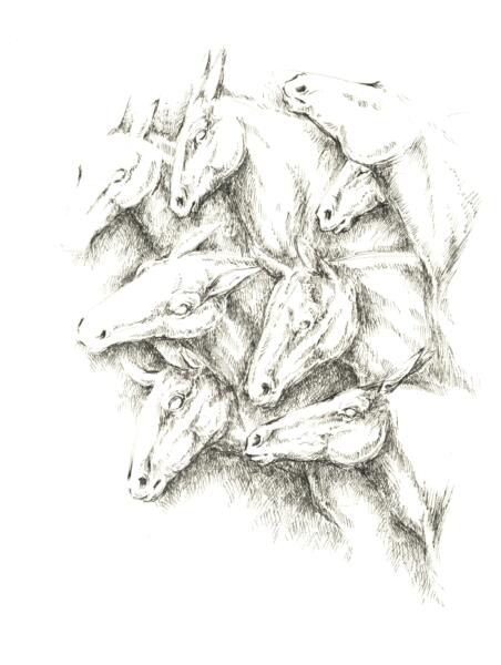 Illustration av många hästhuvuden som symboliserar förening.