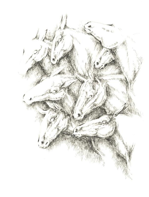 Illustration av många hästhuvuden som symboliserar förening.