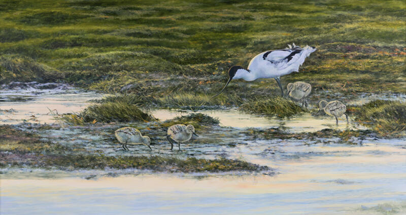 Avocet, oil on linen. Artist Bo Lundwall