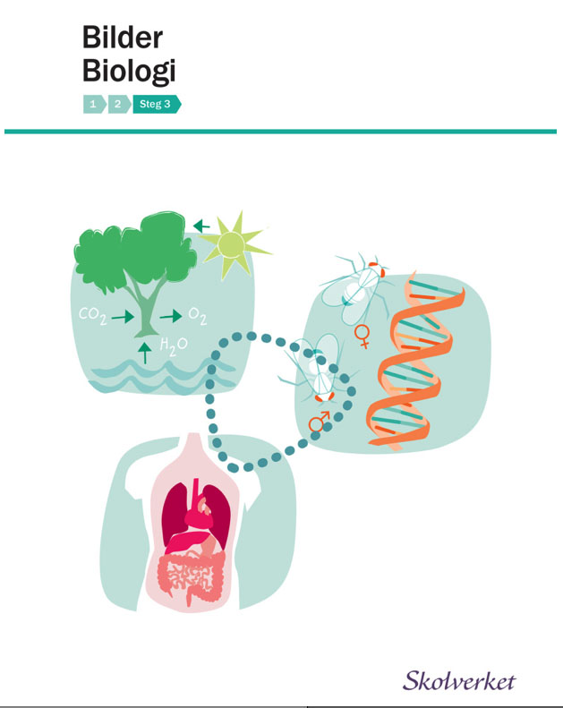 Biologi. Illustrationer en DNA-spiral, flugor, torso i genomskärning med hjärta, lungor och övriga organ. Träd, vatten och sol som visar fotosyntesen.