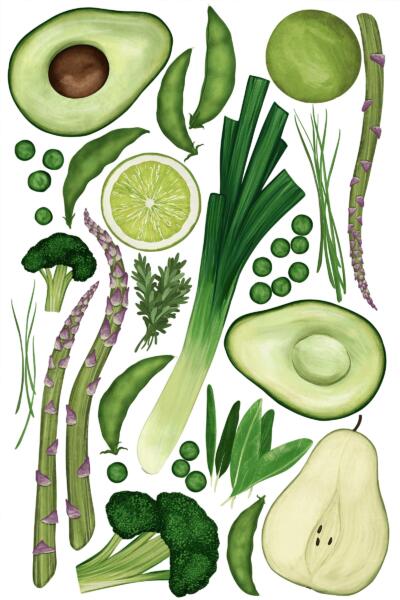Digital illustration av olika gröna frukter, grönsaker och örter på en vit bakgrund
