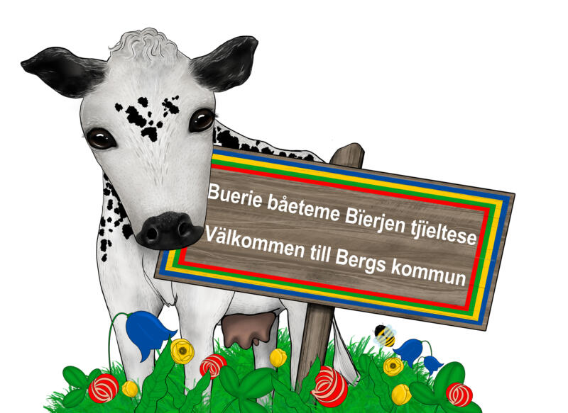 Fjällko på blomsteräng med välkomstskylt där det står Välkommen till Bergs kommun på svenska och samiska