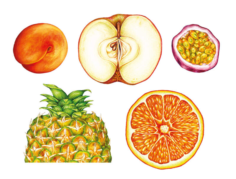 Realistiska och färgglada illustrationer. Apelsin, Annanas, Persika, Äpple, passionsfrukt.