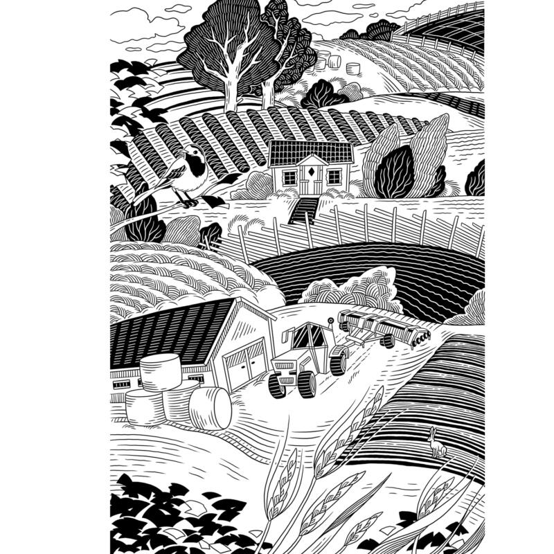Linjeillustration av ett typsikt svenskt landskap. Med en unik touch som ger karaktär till varumärket. 