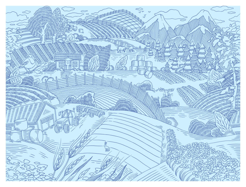 Linjeillustration av ett typsikt svenskt landskap. Med en unik touch som ger karaktär till varumärket. 