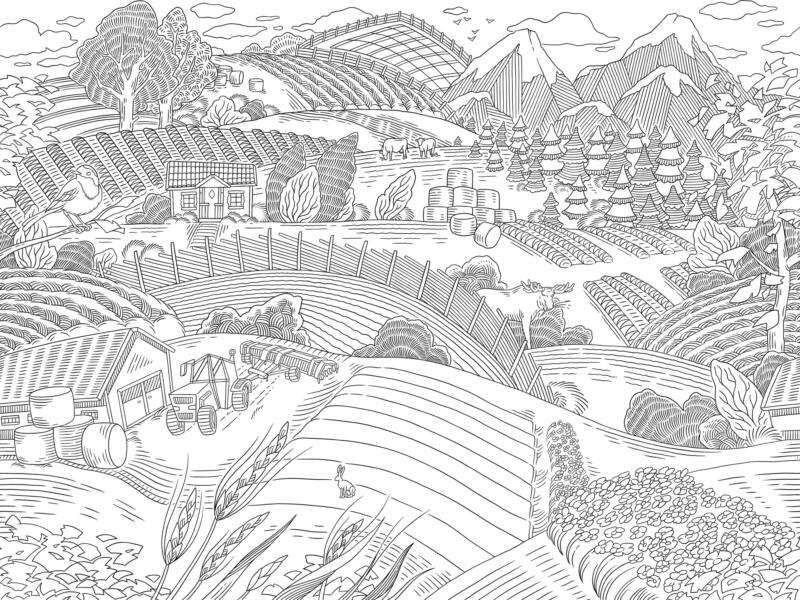 Linjeillustration av ett typsikt svenskt landskap. Med en unik touch som ger karaktär till varumärket. 