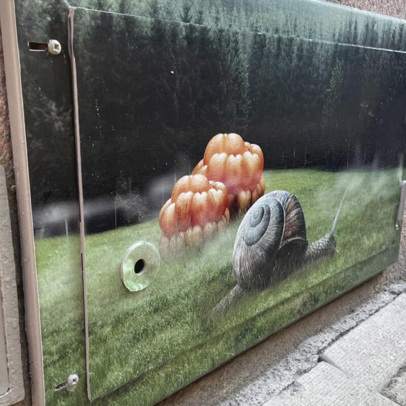 Två stora hjortron ligger på en äng omgiven av mörk skog. Framför kryper en stor snigel förbi.