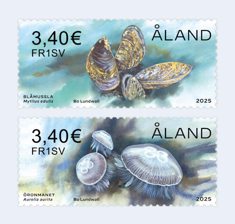 Havets skattkammare Blåmussla och Öronmanet Konstnär Bo Lundwall Åland Post