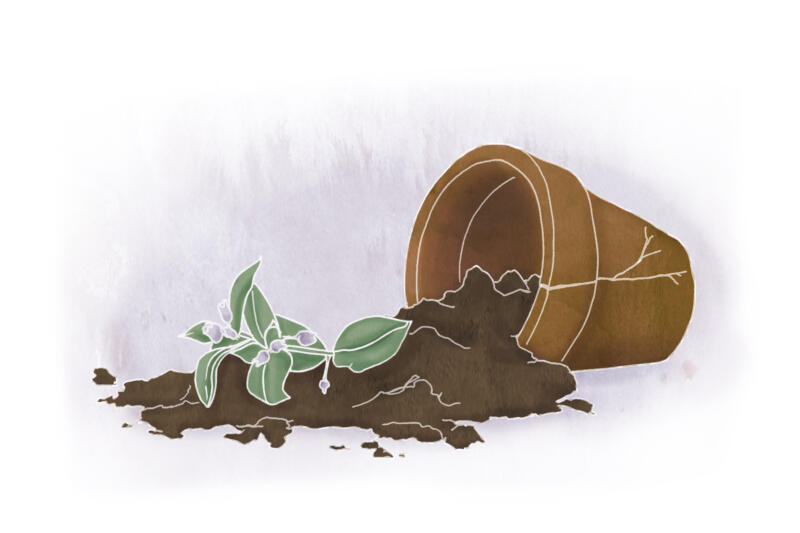 Illustration av en planta i kruka som krossats