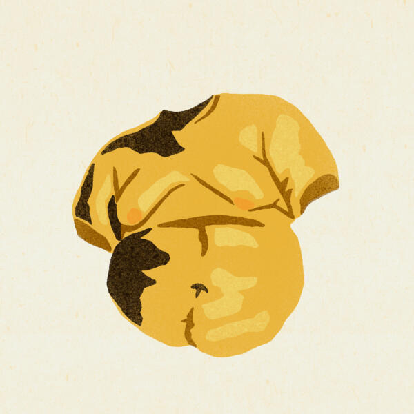 Illustration föreställande en tjock torso